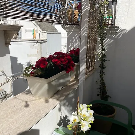 Casa Del Riccio Nel Centro Storico Martina Franca