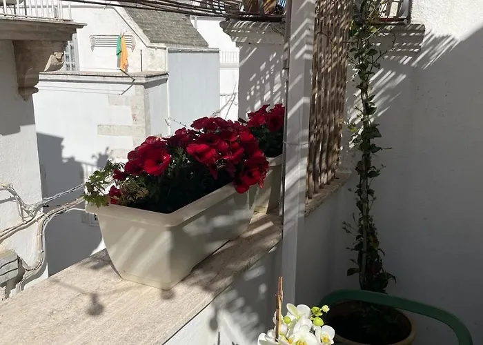 Casa Del Riccio Nel Centro Storico Martina Franca